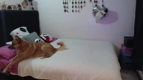 Snapshot of mia_adams_red chatting on February 3, 10:59 pm mia online show from February 3, 10:59 pm