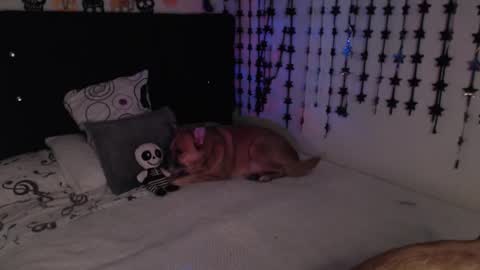 Snapshot of mia_adams_red chatting on February 18, 11:33 pm mia online show from February 18, 11:33 pm