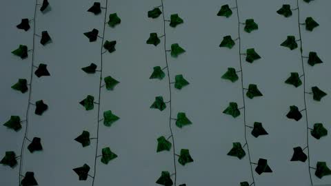 MIA online show from November 12, 10:20 pm