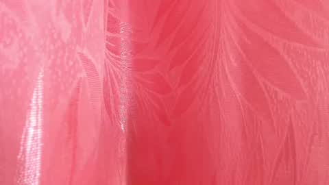 Snapshot of mia_nova5 chatting on July 5, 11:50 am mia_nova5 online show from July 5, 11:50 am