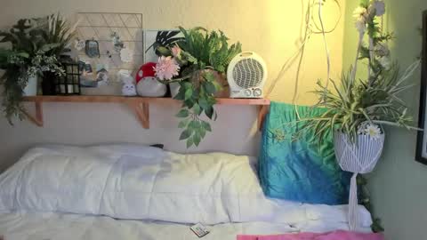 Miaa online show from December 20, 7:12 am