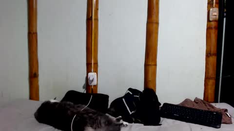 Mia  Sam online show from January 17, 11:41 pm