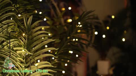 ask online show from December 27, 1:22 am