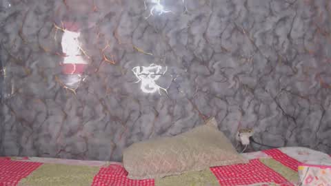 miarouse1531 online show from February 7, 3:27 pm