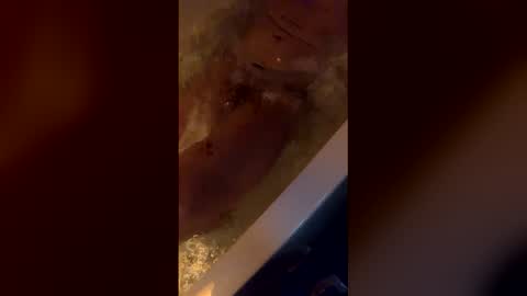 Snapshot of michelsexy69603790 chatting on April 12, 3:44 am michelsexy69603790 online show from April 12, 3:44 am