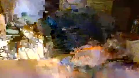 michiganstud28 online show from April 22, 2:14 am