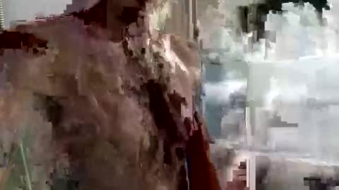 mickavis1975 online show from September 14, 4:06 pm