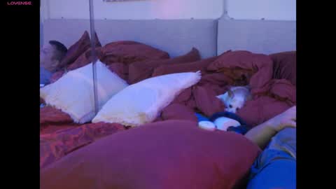 Mickey online show from February 1, 6:08 pm