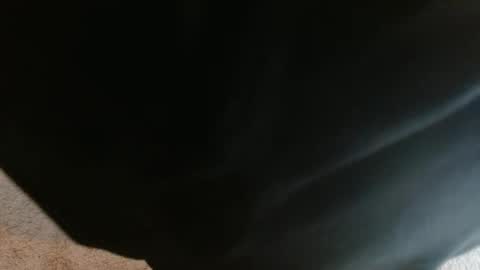 mikehey1 online show from October 1, 3:51 pm