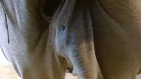 mikehey1 online show from November 27, 8:55 pm