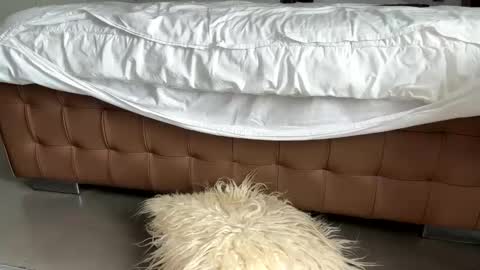 Snapshot of mikel030 chatting on March 2, 1:40 pm djfuckoff online show from March 2, 1:40 pm