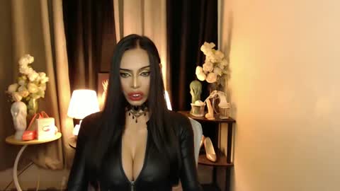 Snapshot of mikeyalawi03 chatting on February 17, 1:42 pm Mistress MikeyAlawi online show from February 17, 1:42 pm
