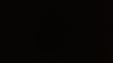 Rosalie  online show from September 9, 9:53 am