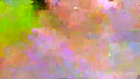 millhill17 online show from January 13, 12:38 am