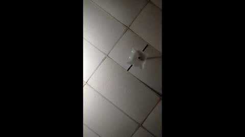 Snapshot of miloanj chatting on November 7, 4:45 am miloanj online show from November 7, 4:45 am