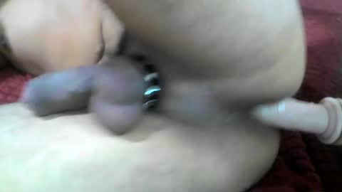 Snapshot of milowolf69 chatting on July 28, 1:01 am milowolf69 online show from July 28, 1:01 am