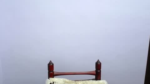 Snapshot of minato_kabuki chatting on December 19, 11:25 pm MINATO online show from December 19, 11:25 pm