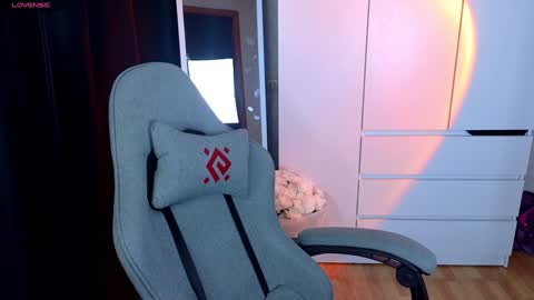 Snapshot of miraraid chatting on December 22, 8:38 am miraraid online show from December 22, 8:38 am