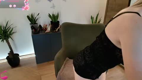 Snapshot of mirela_silver chatting on August 2, 3:16 am Mirela online show from August 2, 3:16 am