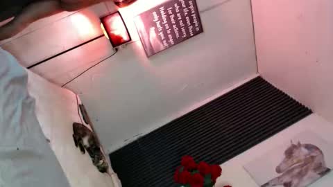 miss_bella69 online show from November 5, 12:10 am