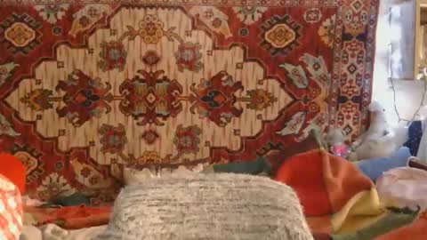 Elis online show from November 14, 1:21 pm