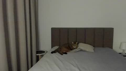 Emily online show from February 9, 8:13 pm