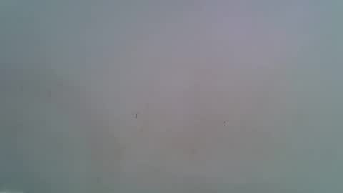 miss_rihanna2 online show from February 4, 7:09 pm