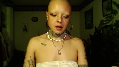 Anarkitten  online show from December 19, 12:17 am