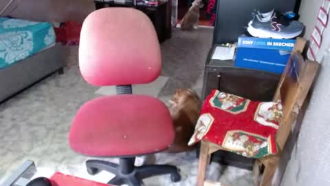 Snapshot of missgomezz_ chatting on May 26, 6:04 pm Maria Gomezz online show from May 26, 6:04 pm