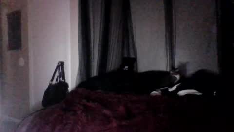 Snapshot of missgospelz_entertainmentz chatting on February 27, 2:21 am missgospel online show from February 27, 2:21 am