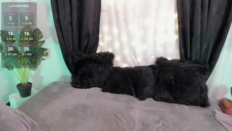 Snapshot of missmeegan_ chatting on December 6, 1:44 pm Alejandra  online show from December 6, 1:44 pm