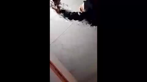 Handsome online show from February 5, 8:54 am