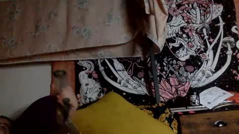 Mistress Mystii online show from January 12, 6:28 am