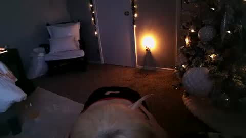 Snapshot of mmmmmwah chatting on December 11, 11:30 am Angel online show from December 11, 11:30 am