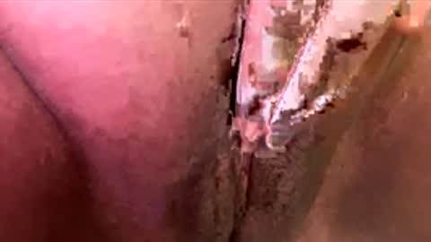 Snapshot of mmmtara chatting on November 30, 2:48 am mmmtara online show from November 30, 2:48 am