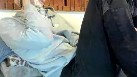 DigBreed online show from November 9, 12:31 am