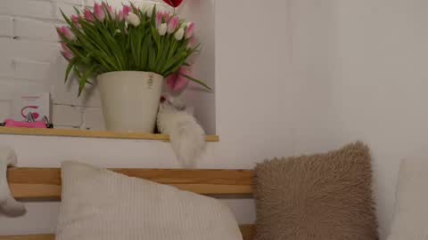 monicaasis online show from March 8, 9:18 pm