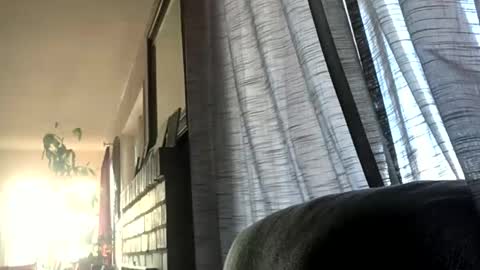 Snapshot of monkeedance chatting on December 17, 5:36 pm Monkee Dance online show from December 17, 5:36 pm