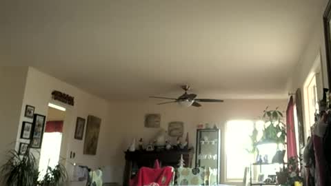 Snapshot of monkeedance chatting on January 1, 7:43 pm Monkee Dance online show from January 1, 7:43 pm