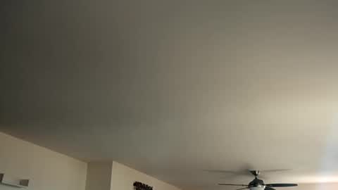 Snapshot of monkeedance chatting on January 12, 5:44 pm Monkee Dance online show from January 12, 5:44 pm