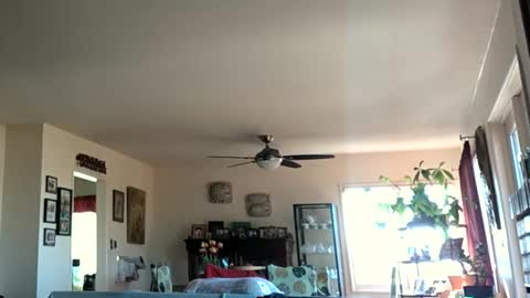 Snapshot of monkeedance chatting on January 28, 5:35 pm Monkee Dance online show from January 28, 5:35 pm