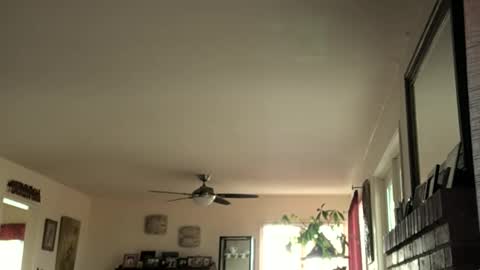 Snapshot of monkeedance chatting on February 16, 5:37 pm Monkee Dance online show from February 16, 5:37 pm