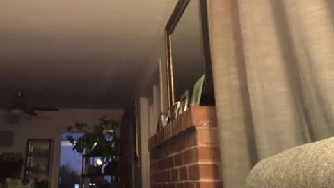 Snapshot of monkeedance chatting on February 22, 2:17 am Monkee Dance online show from February 22, 2:17 am