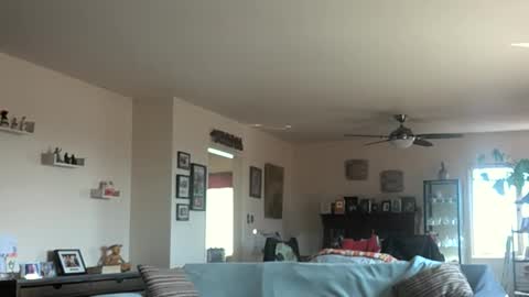 Snapshot of monkeedance chatting on March 3, 10:10 pm Monkee Dance online show from March 3, 10:10 pm