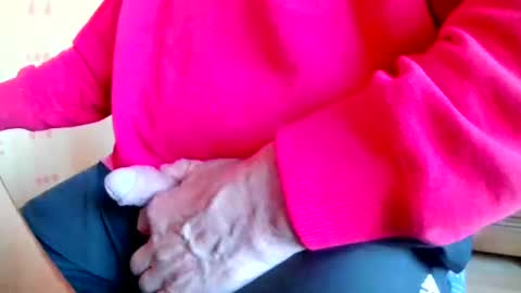 Snapshot of mookie2 chatting on March 23, 4:55 pm mookie2 online show from March 23, 4:55 pm