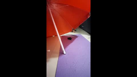 morbucksrica online show from February 15, 3:25 am