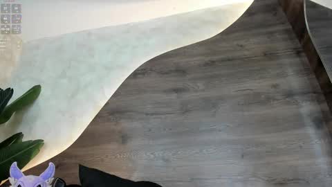  Morgan  online show from February 18, 2:38 pm