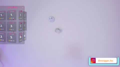 Morggan Castle online show from February 4, 8:24 am