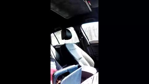 Snapshot of mospeleu chatting on March 14, 10:42 am Nomadu online show from March 14, 10:42 am