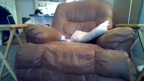 Snapshot of motodub chatting on March 1, 4:00 pm motodub online show from March 1, 4:00 pm